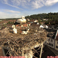 08_40-nest.jpg