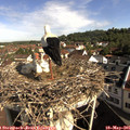 09_15-nest.jpg
