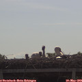 10_15-mast.jpg