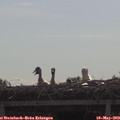 10_20-mast.jpg