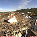 10_20-nest.jpg