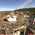 10_25-nest.jpg