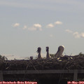 10_35-mast.jpg