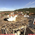 10_35-nest.jpg