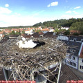 11_30-nest.jpg