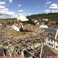 11_35-nest.jpg