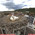 12_15-nest.jpg