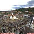 12_25-nest.jpg