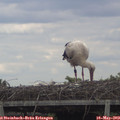14_30-mast.jpg
