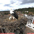 16_05-nest.jpg