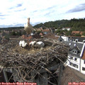 16_15-nest.jpg