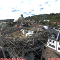 17_45-nest.jpg