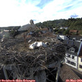 18_20-nest.jpg