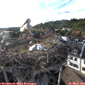 18_30-nest.jpg