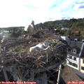 18_45-nest.jpg