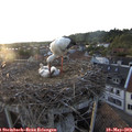 20_10-nest.jpg