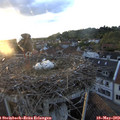 20_20-nest.jpg