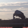 06_05-mast.jpg