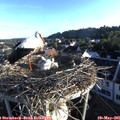 06_40-nest.jpg