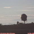 06_45-mast.jpg