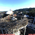 06_45-nest.jpg
