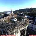 06_50-nest.jpg