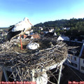 07_05-nest.jpg