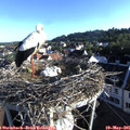 07_10-nest.jpg