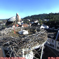 07_40-nest.jpg