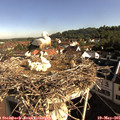 08_40-nest.jpg