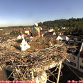 08_55-nest.jpg