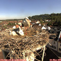 09_00-nest.jpg
