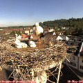 09_10-nest.jpg