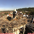 09_15-nest.jpg
