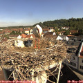 09_40-nest.jpg