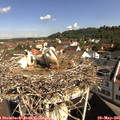 09_55-nest.jpg