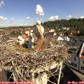 10_00-nest.jpg