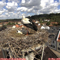 10_25-nest.jpg