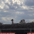 10_35-mast.jpg
