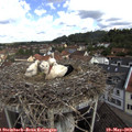10_35-nest.jpg
