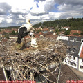 12_15-nest.jpg