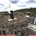 13_35-nest.jpg