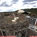 15_05-nest.jpg