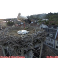 20_45-nest.jpg