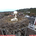 05_40-nest.jpg