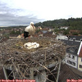 07_40-nest.jpg