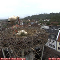 08_15-nest.jpg