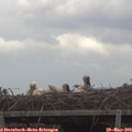 14_05-mast.jpg