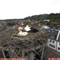14_10-nest.jpg