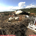 17_05-nest.jpg